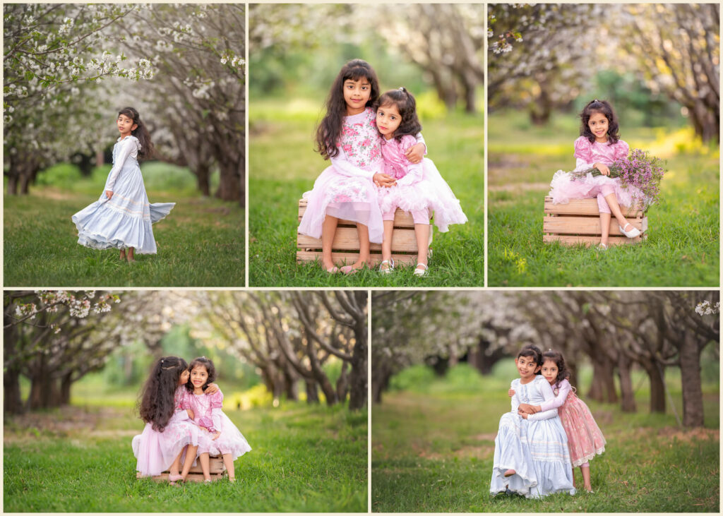 Perth siblings playing during an outdoor family photography session at a Perth Hills orchard surrounded by cherry blossoms